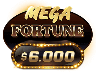 mega-fortune